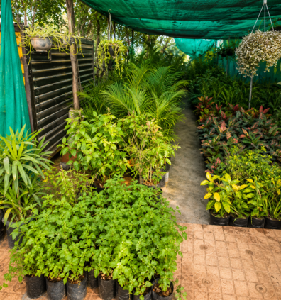Thanisandra Bangalore